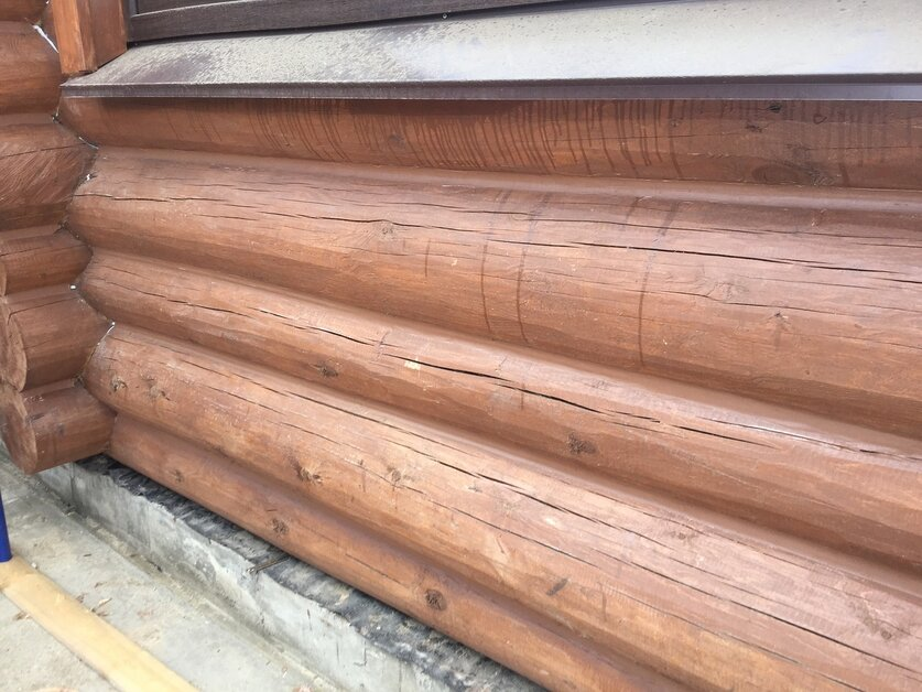 Как быстро избавиться от грибка на древесине: 3 простых метода