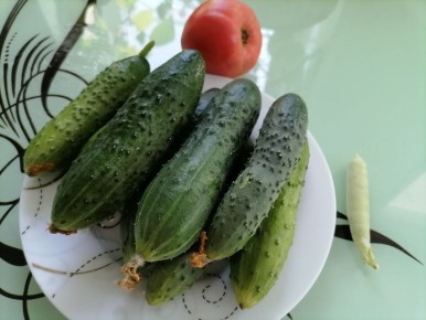 Как правильно замораживать огурцы и использовать их зимой