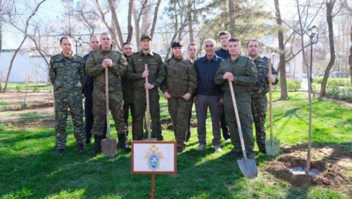 Сотрудники астраханского Следкома высадили деревья в Морском садике
