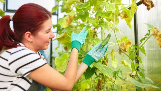 ��� ���������� �� ������ ����� �� �������: ����������� ������ �� �������� ��������