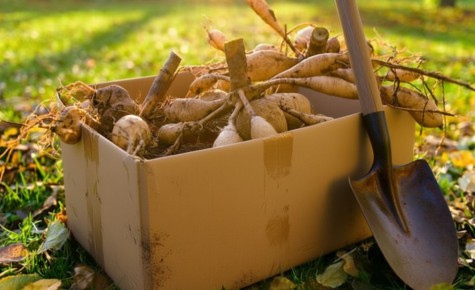 ���������� ������ �������� ���������