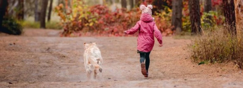 Девочка сбежала из астраханского детсада и на нее напали собаки