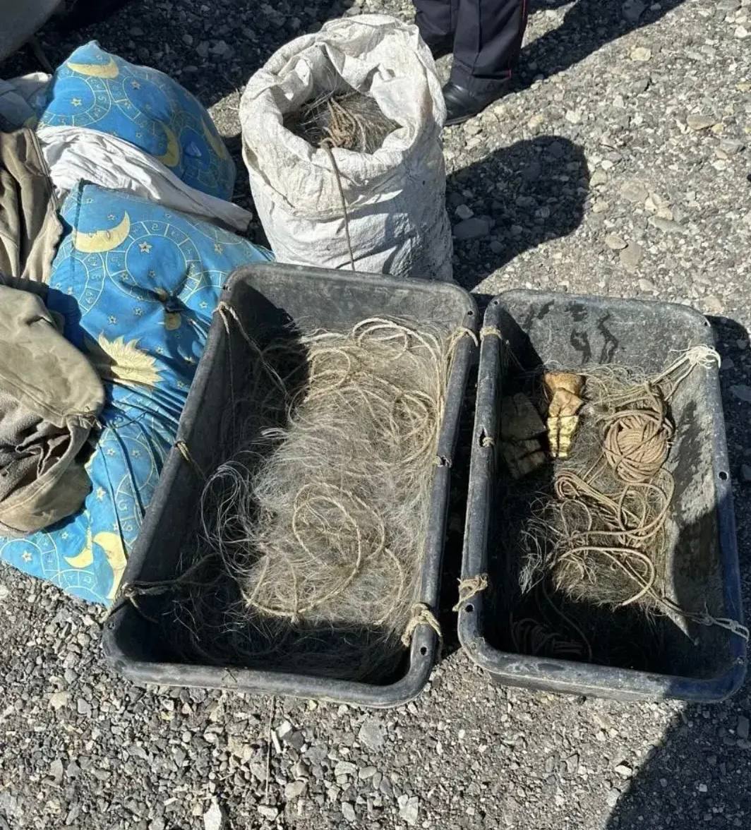 «Нашел на берегу»: у рыбака изъято более 100 особей рыбы со следами объячеивания «Нашел на берегу»: у рыбака изъято более 100 особей рыбы со следами объячеивания