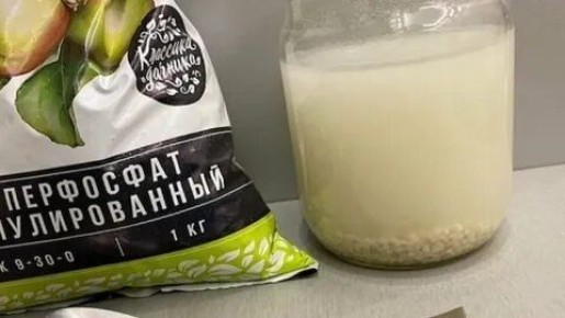 Как быстро улучшить урожай: секреты подготовки вытяжки из суперфосфата