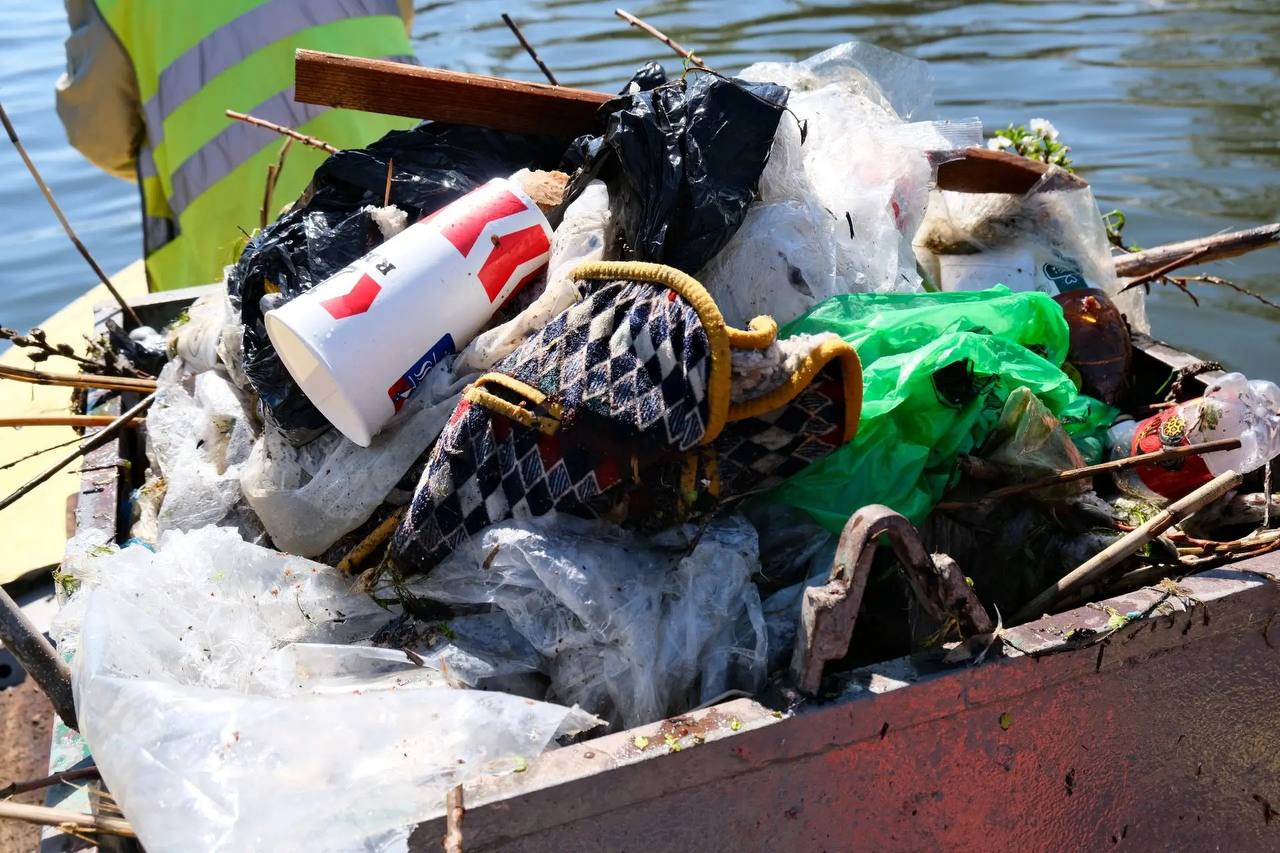 В Астрахани стартовал сезонный этап очистки акватории Лебединого озера и городских каналов В Астрахани стартовал сезонный этап очистки акватории Лебединого озера и городских каналов