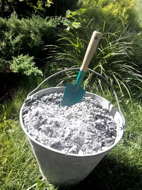 Оживляющий зольный настой: как правильно использовать для вашего огорода