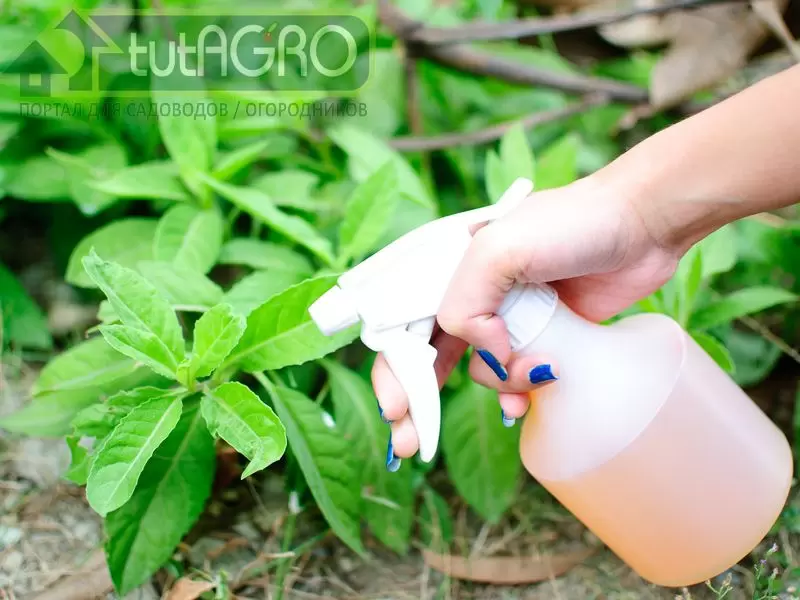 Коктейль из трёх кислот: секреты успешного роста