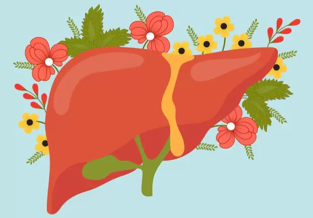 Гемангиома печени: что нужно знать о доброкачественных образованиях