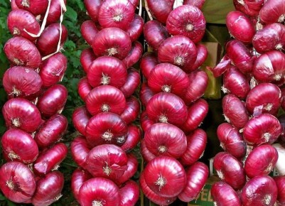 Сохраните свежесть лука: советы по его хранению