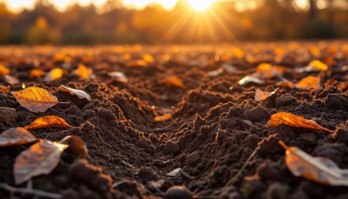 ��� ����������� ����� � ������: ��� ��������� ���� ��� ������� ���������