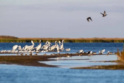 Игорь Бабушкин: Астраханскому биосферному заповеднику — 107 лет!