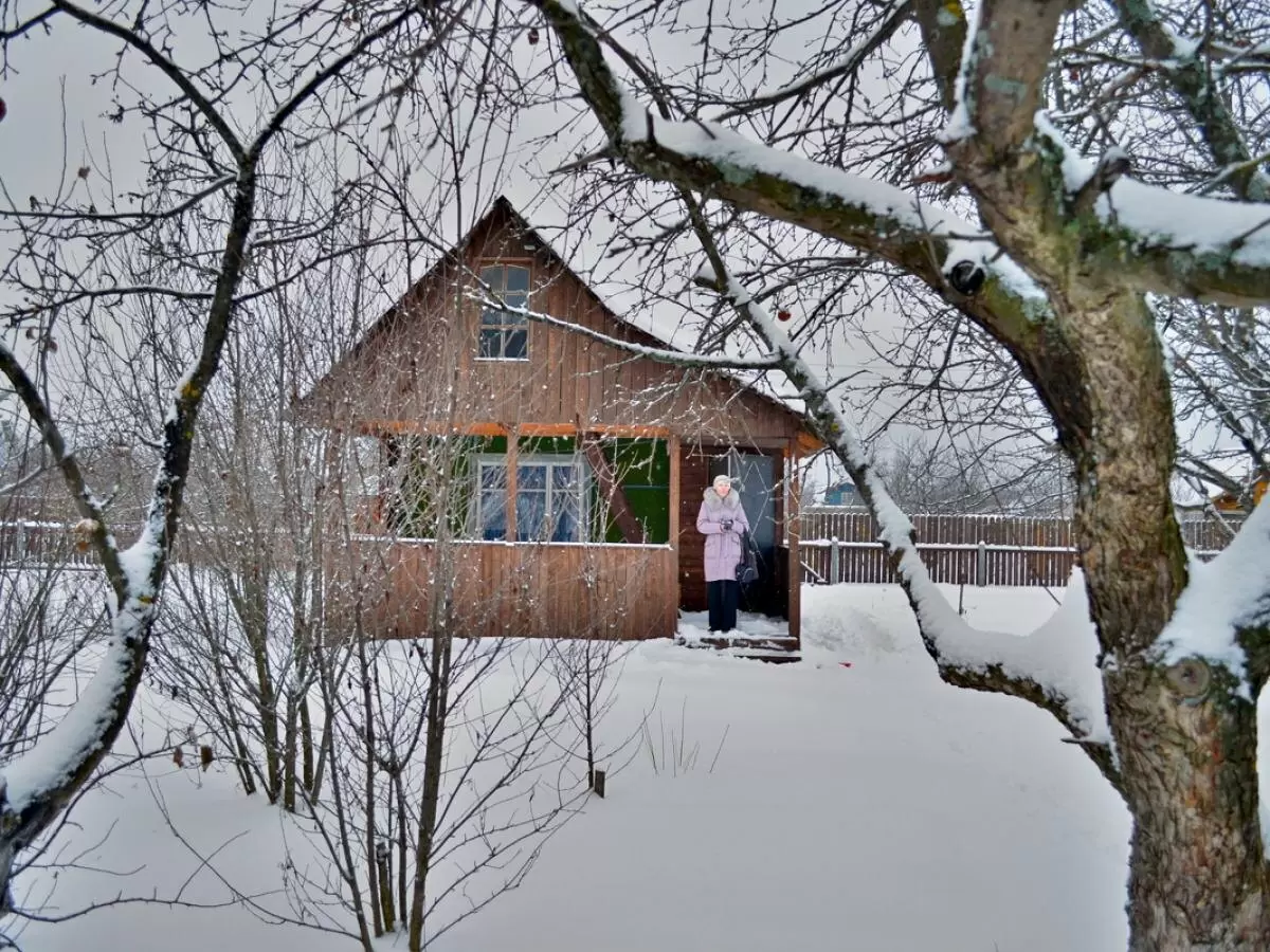 Как сохранять здоровье сада зимой: советы по уходу в январе