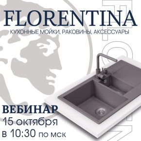 Что нужно знать о мойках Florentina: мнение экспертов
