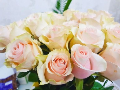 ��� ���������� �� �������: ������� �����, ������� �� �������� ����������