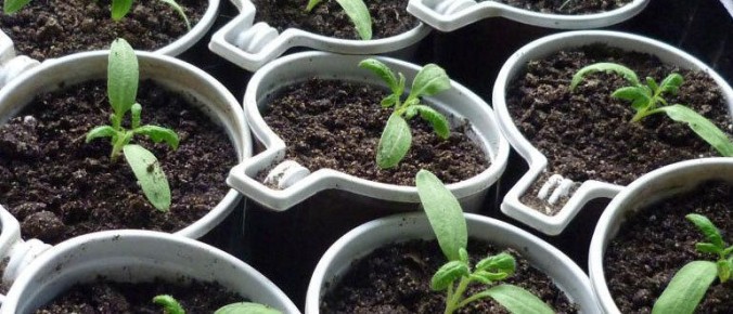 ��� �������� ������� � ������� ������� �������� �������