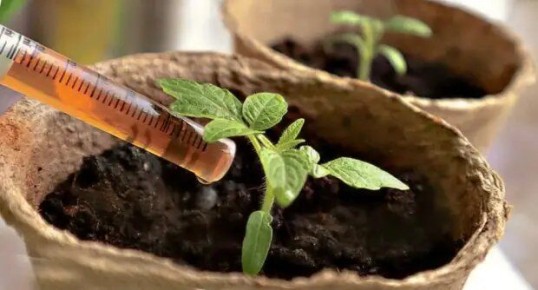 ��� ��������� ������� ������� � ������� ������� ���������