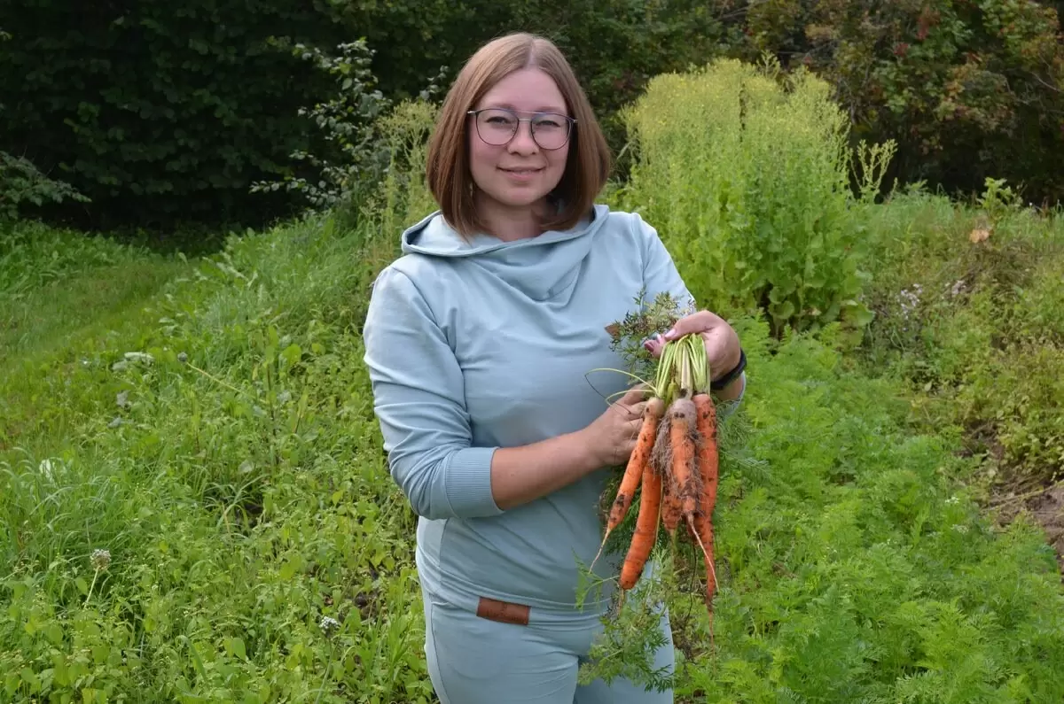 Как правильно удобрять морковь в августе: советы для активного роста корнеплодов