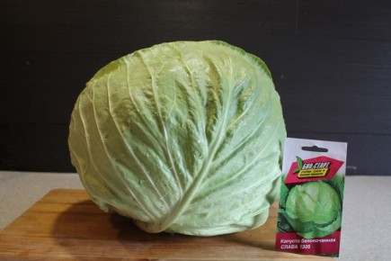 ������� �����: �������� ���������� ������� �� ��������������