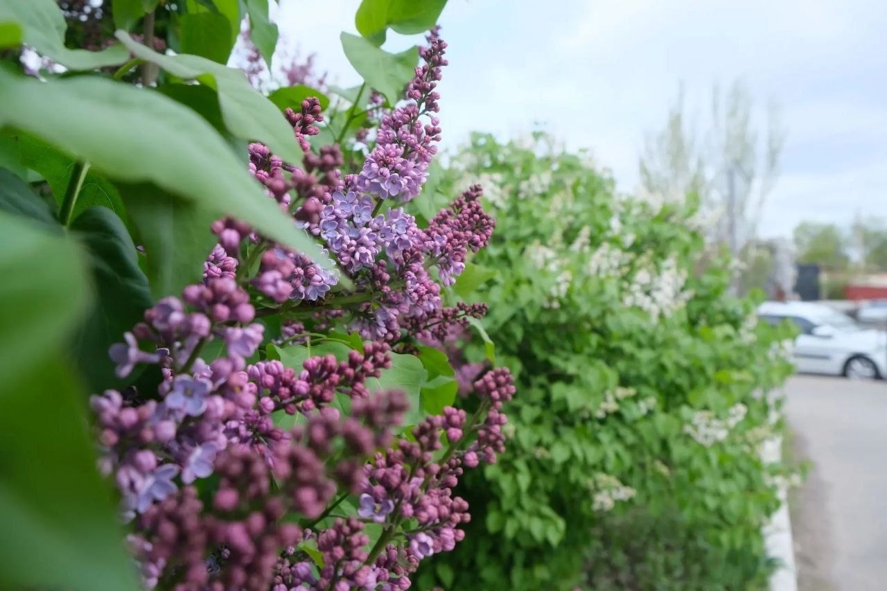 Игорь Редькин: В Астрахани стоят прохладные и пасмурные дни Игорь Редькин: В Астрахани стоят прохладные и пасмурные дни