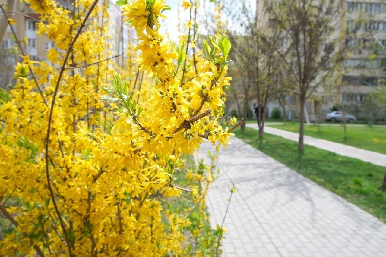 Игорь Редькин: В Астрахани стоят прохладные и пасмурные дни
