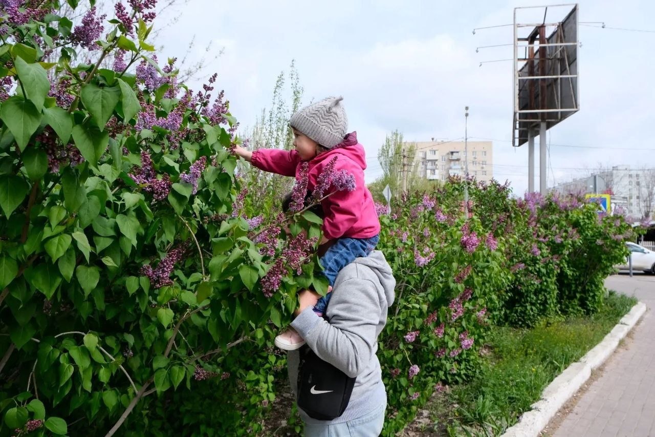 Игорь Редькин: В Астрахани стоят прохладные и пасмурные дни Игорь Редькин: В Астрахани стоят прохладные и пасмурные дни