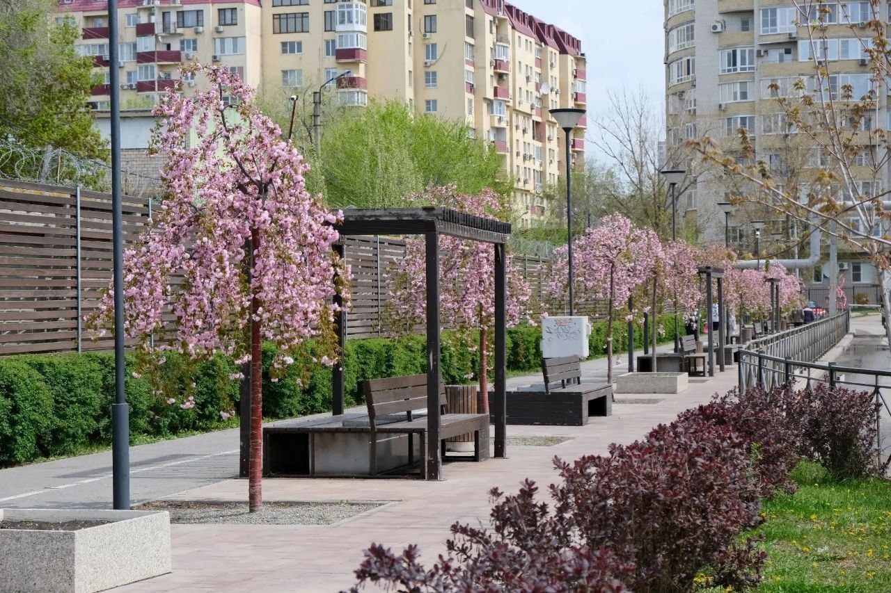 Игорь Редькин: В Астрахани стоят прохладные и пасмурные дни Игорь Редькин: В Астрахани стоят прохладные и пасмурные дни