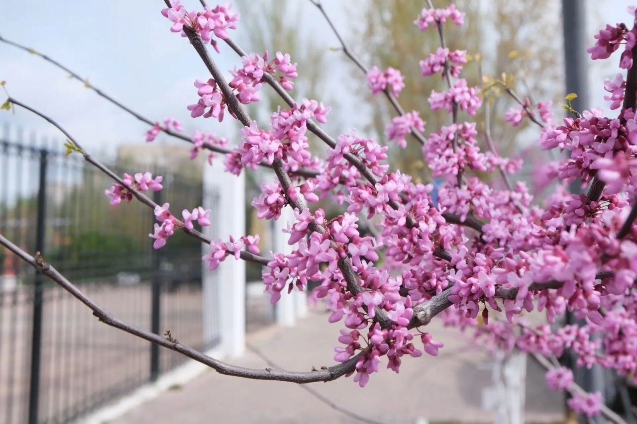 Игорь Редькин: В Астрахани стоят прохладные и пасмурные дни Игорь Редькин: В Астрахани стоят прохладные и пасмурные дни