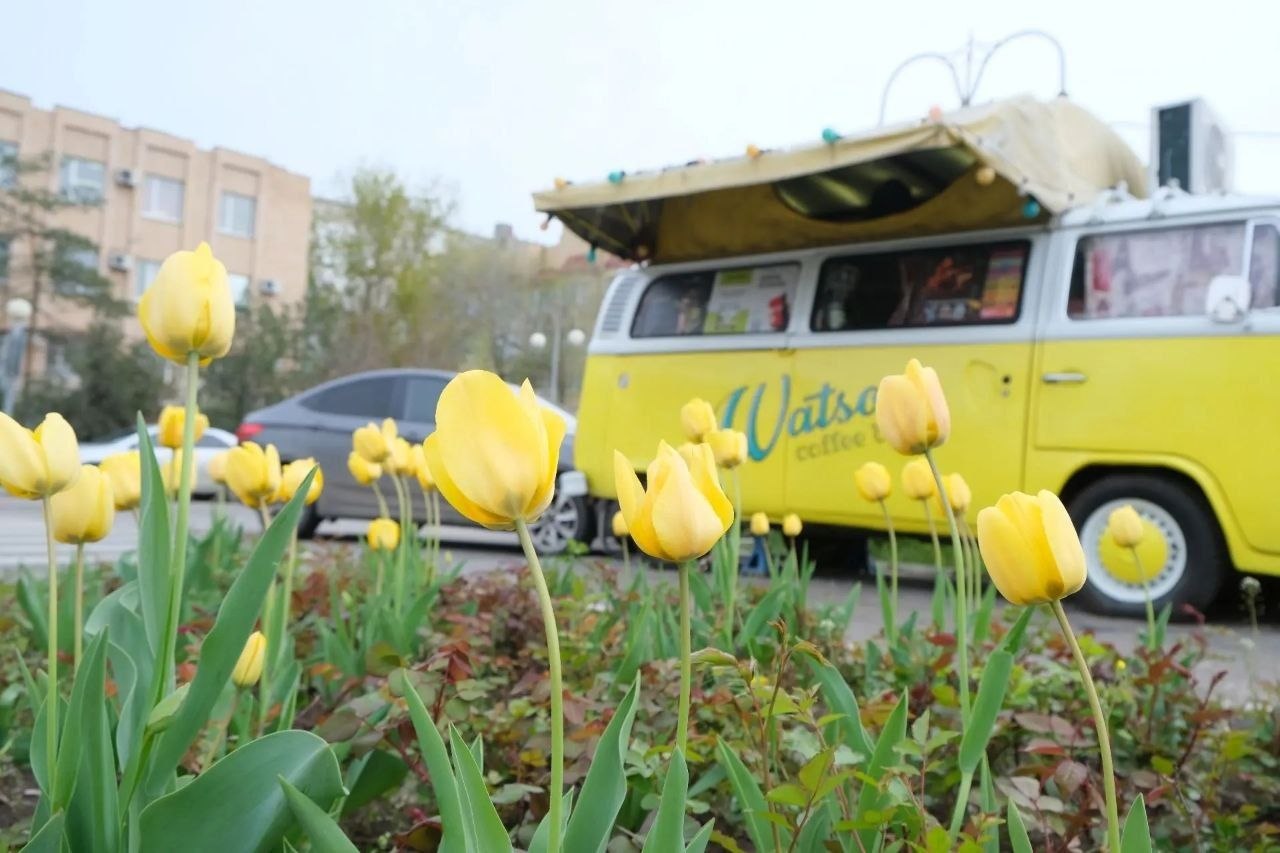 Игорь Редькин: В Астрахани стоят прохладные и пасмурные дни Игорь Редькин: В Астрахани стоят прохладные и пасмурные дни