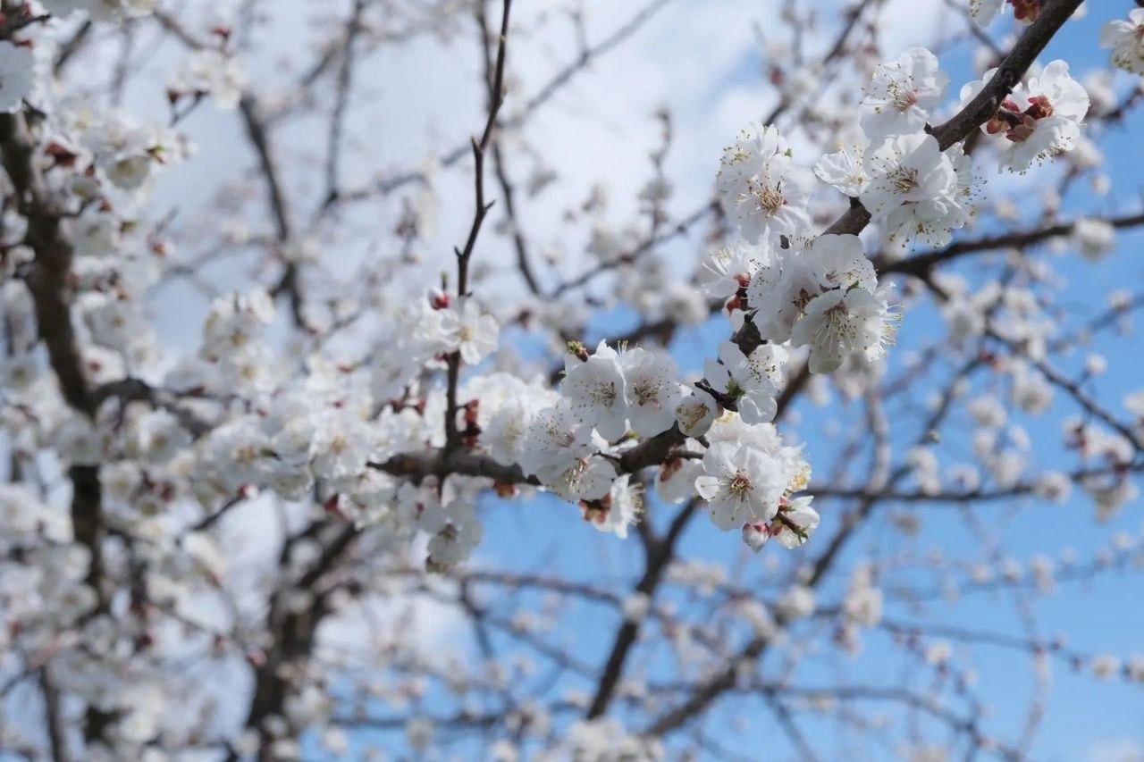 Игорь Редькин: В Астрахани стоят прохладные и пасмурные дни Игорь Редькин: В Астрахани стоят прохладные и пасмурные дни