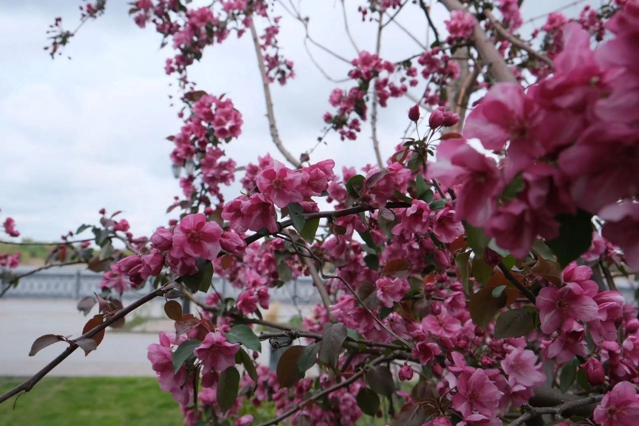 Игорь Редькин: В Астрахани стоят прохладные и пасмурные дни Игорь Редькин: В Астрахани стоят прохладные и пасмурные дни