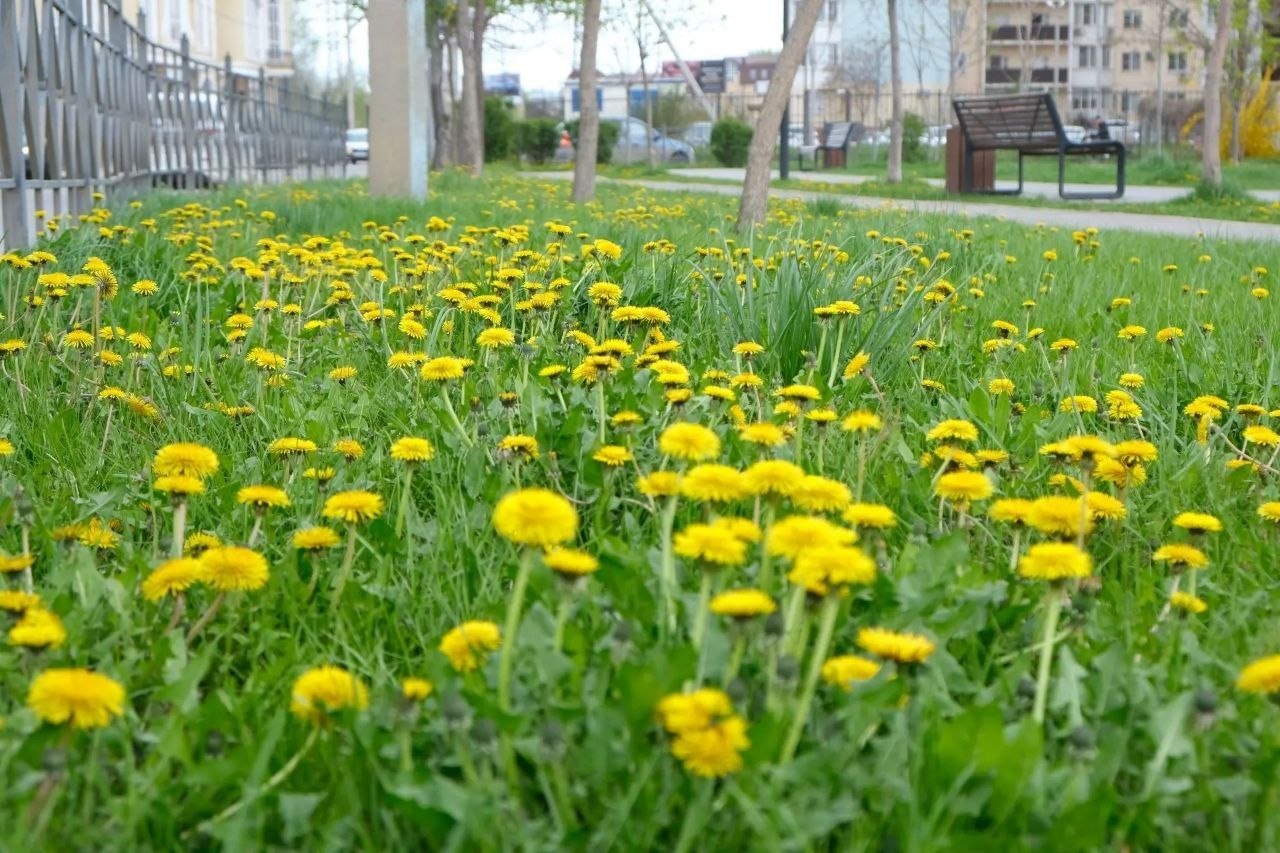 Игорь Редькин: В Астрахани стоят прохладные и пасмурные дни Игорь Редькин: В Астрахани стоят прохладные и пасмурные дни