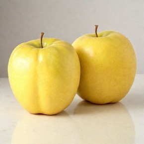 ������ ������ �����: ������� ������, ������� �������� �� �����