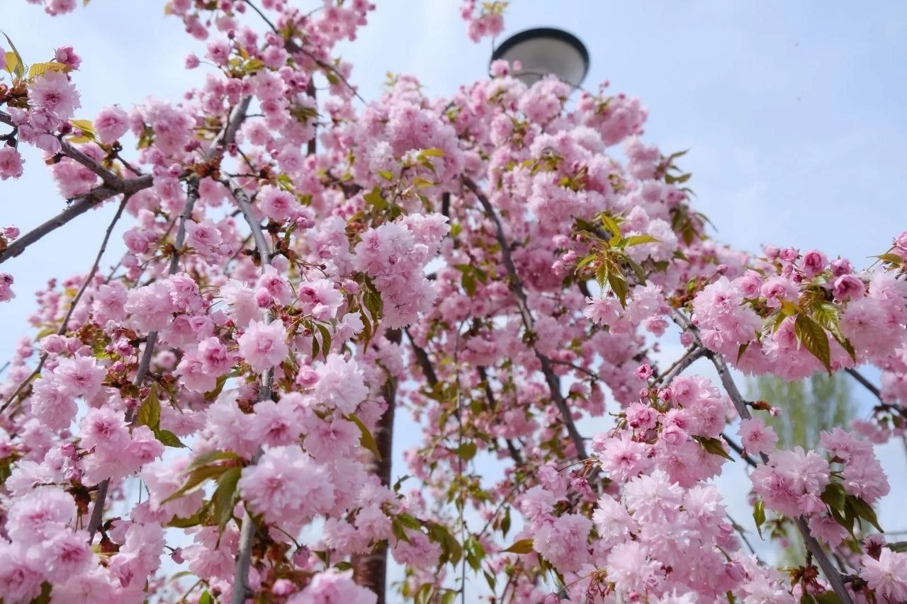 Игорь Редькин: В Астрахани стоят прохладные и пасмурные дни Игорь Редькин: В Астрахани стоят прохладные и пасмурные дни