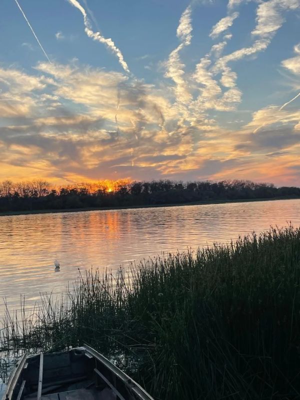 �� ������������ � �������� �������������� ������� ������ ��������������� ����� �����������