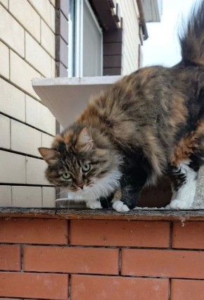 ������ �� �������. 16 ������ � ��������� ������������ ����������, ���� ��������� �����