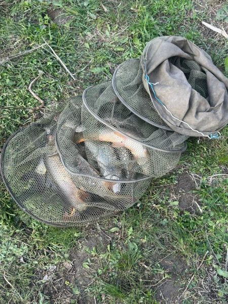 � ����������� ������ ���� ������ �������� ����