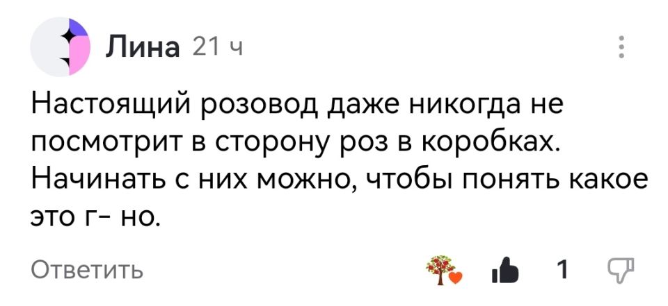 ���� ��� �����: ��������� � ������� �������� � ��������� ��������