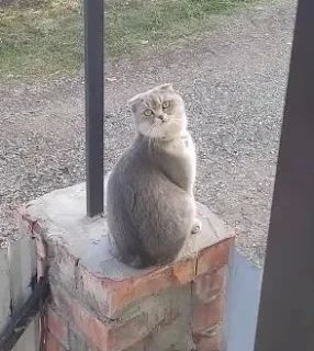 ������ �� �������. 17 ������ � ��������� ������������ ���������� ���������� ��� ������������ �������