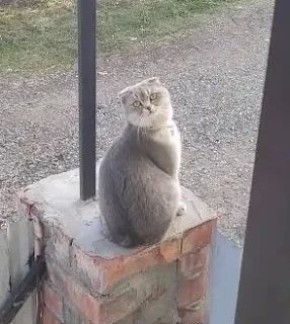 ������ �� �������. 17 ������ � ��������� ������������ ���������� ���������� ��� ������������ �������