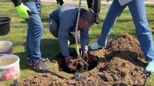 ����� �������: ������� ������ � ��������������� ������������ ��� �������� ������� � ������ ����������� �� ������������� ����������