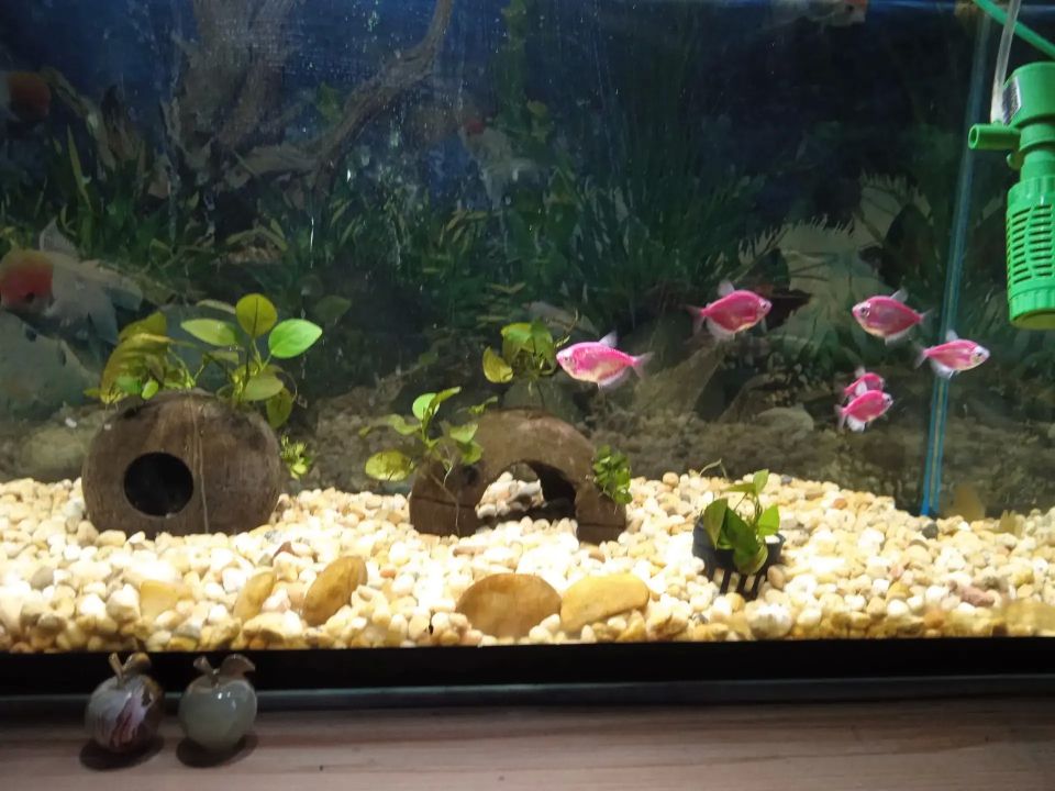 ���� ���������� �������� �������� �������� ��� � �� ���� ������ ���������