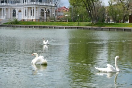 �� ��������� ����� ��������� �������