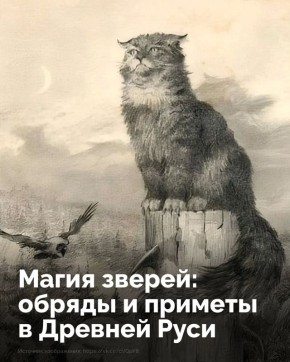 ����� ����� �������� ������� �������� � ����� ������� ��������?