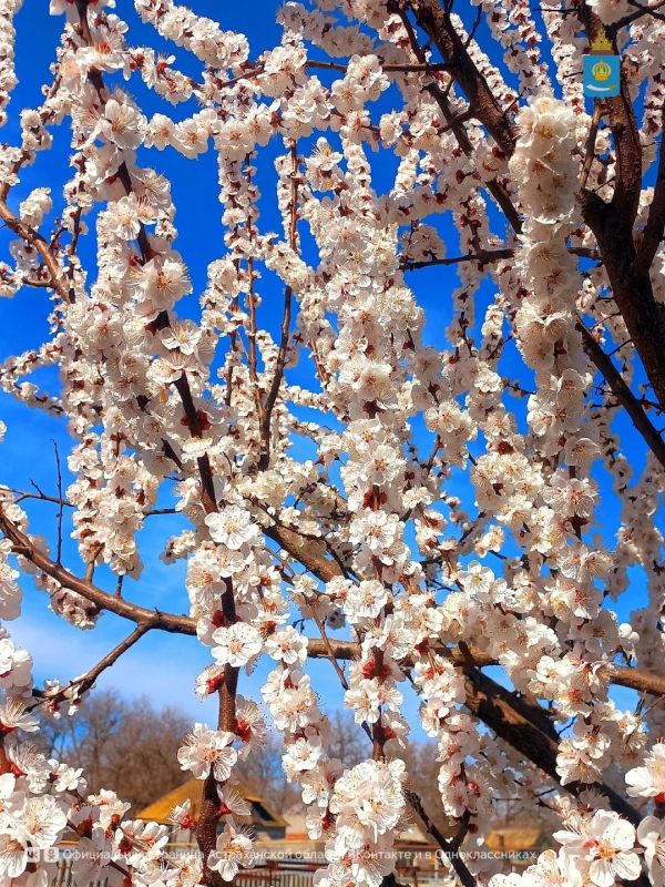 ������� � ������� ����� �� ���������� � ������ ����� ����������