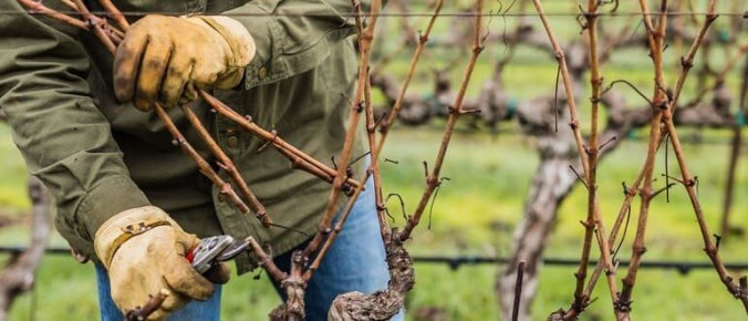 ��� ����������� �������� � ����: ��������� ��� ��� ���������