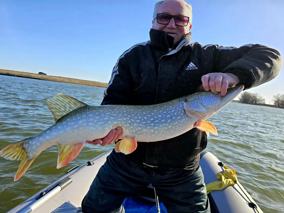 ������� "���� ���� �����" � �������!