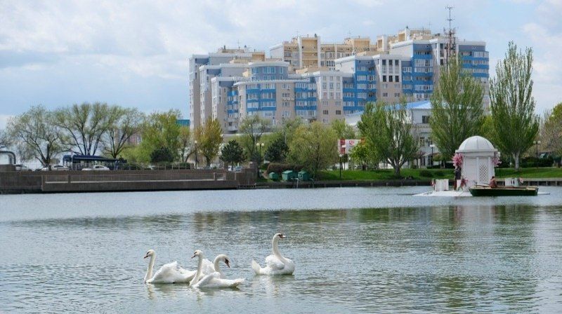 ������������ ������ ��������� �� ����� ����� �������