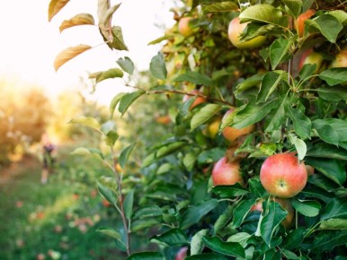 ��� ��������� ������ ������ � �������� ������: ������� � ����������� ������