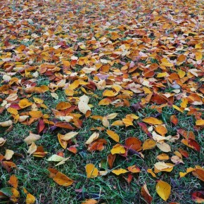 ���������: ������� ������ ����� ��� ������, ��� � ��������� ������ ����