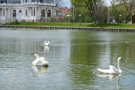 �� ��������� ����� ��������� �������